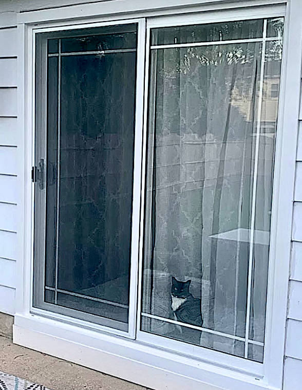 Exterior view of sliding glass patio door with decorative prairie grids. Black and white cat sitting indoors, looking out.
